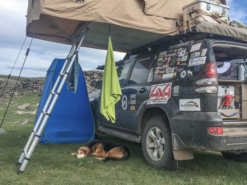 dog in mongolia overlanding